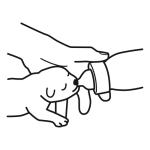 Arasaac 150-99d37cadcde1b65e55bbab13ba214719