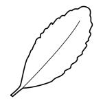 Arasaac 150-a5362b10aa30dc8b9e06396c177d19f2