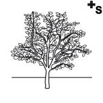 Arasaac 150-23288987c5d8d1fb3571f8e85ba58a8f