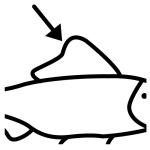 Arasaac 150-7da94d0250d25cb29864ed63bc7aeffe