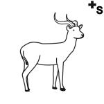 Arasaac 150-6527a4086c6741956b097f2be307abc0 Arasaac 150-6527a4086c6741956b097f2be307abc0