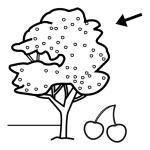 Arasaac 150-1374359f77f39be556b4dd0692464194