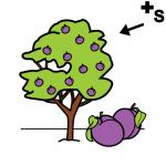 Arasaac 150-21b70d8832832ddcdec14f6f57a6899d