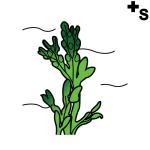 Arasaac 150-3225fd4b354d209f03a02d4a4ef580bd