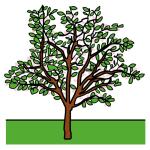 Arasaac 150-a5c199ddcc76533007b05b4dda4cbb9b