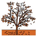 Arasaac 150-b5b1d4d9df58744b790037921edd153e