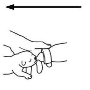 Arasaac 150-82b41d4e9c81ab2f668e5622a62440b5