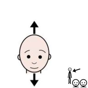 Arasaac 150-6cb9e64d316a52a2d04d8b80a9924540