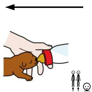 Arasaac 150-8c7f62521fec1bd300b12ad33da2739e