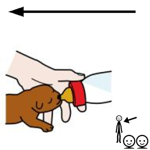 Arasaac 150-be817f7f02f538cb6230f30b31438265